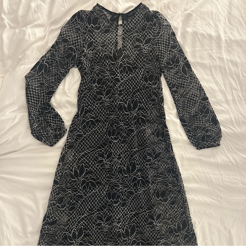 Chic Black and White Lace Sheer Dress